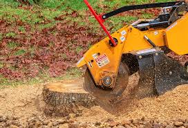 Best Lawn Mowing  in Fayette, MS